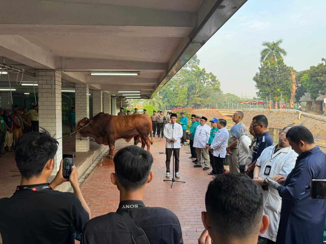 Sapi Presiden dan Wapres RI Disembelih di Istiqlal, Didistribusikan Untuk Makan Bersama 2000 Anak Yatim 