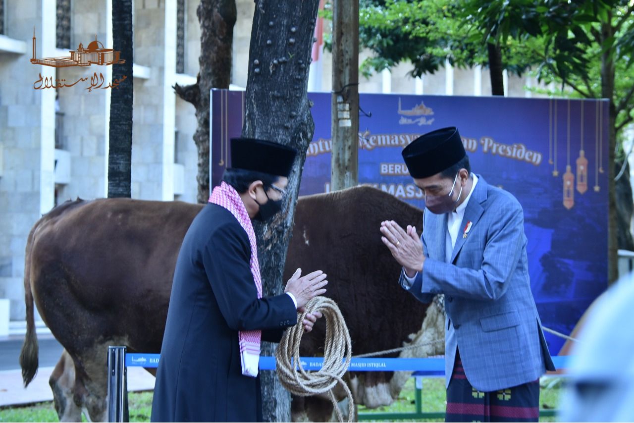 Presiden Jokowi Serahkan Hewan Kurban di Masjid Istiqlal