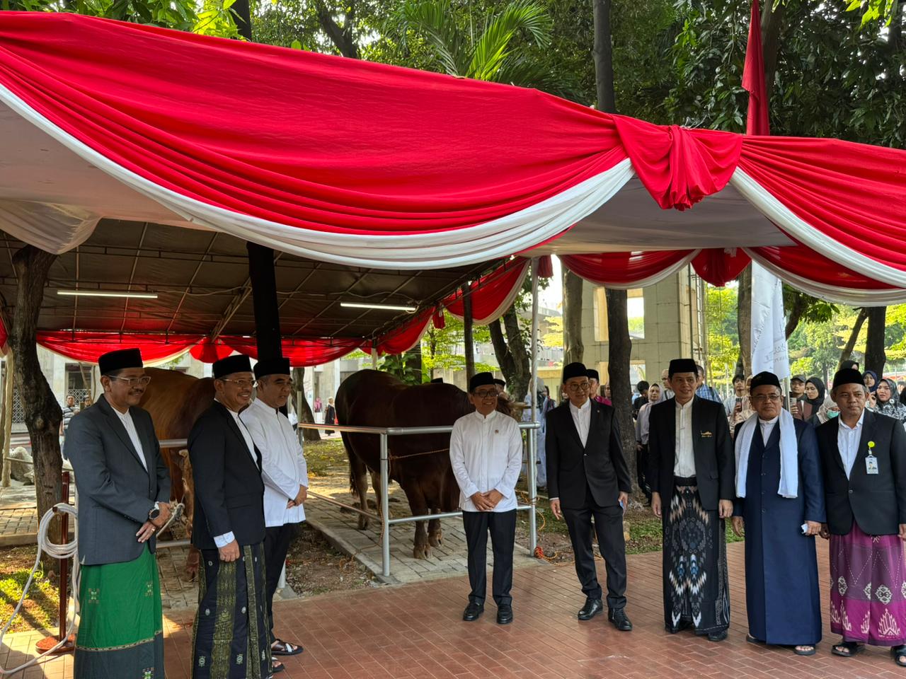 Menko PMK Serahkan Sapi Kurban Presiden dan Wapres RI ke Masjid Istiqlal 