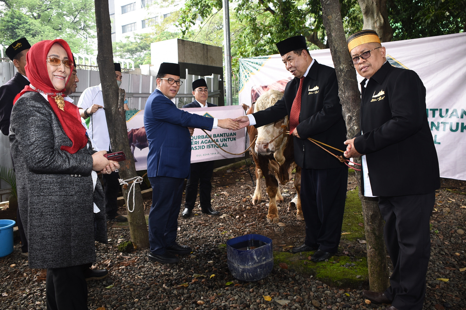 BPMI Terima Sapi Qurban dari Menteri Agama RI