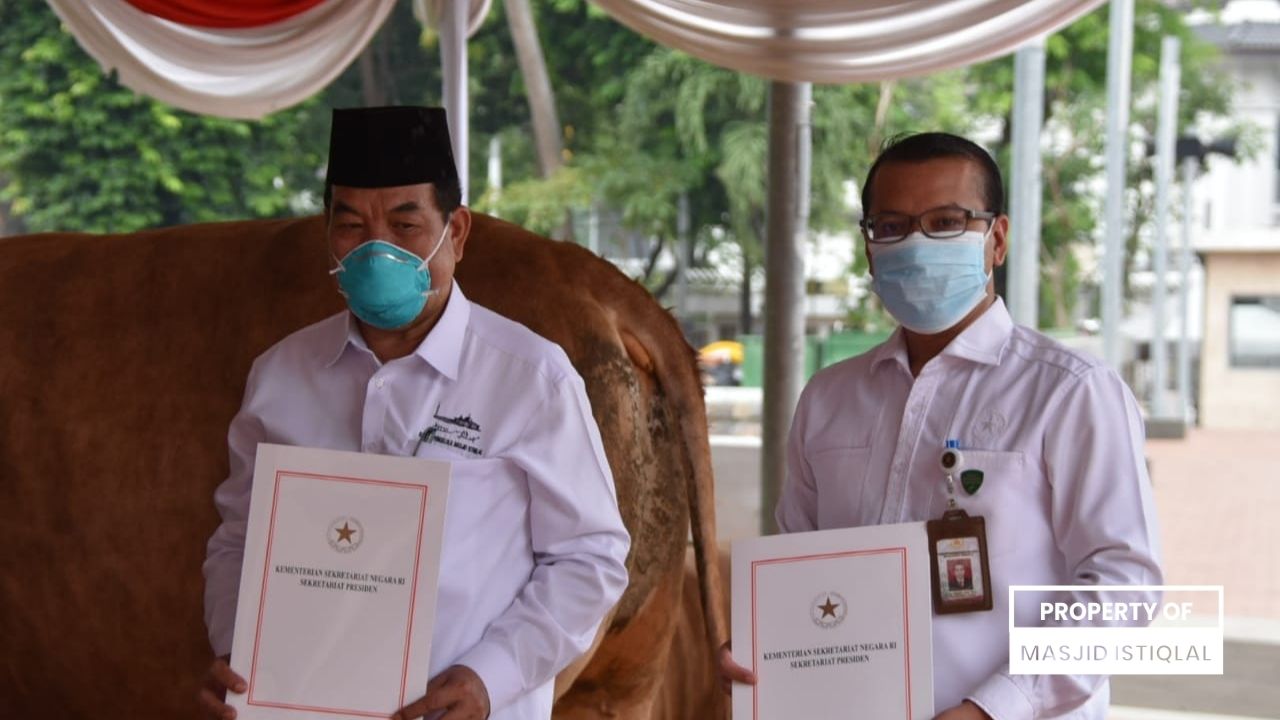 Hewan Kurban yang Diterima BPMI